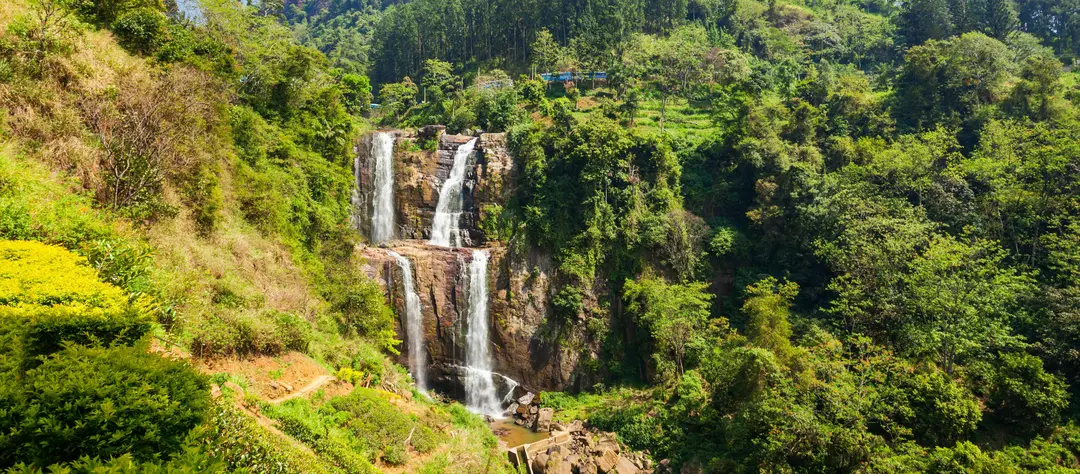 Kandy Highlands View