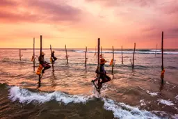 Stilt Fishing