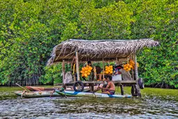 Madu River