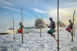 Stilt Fishing