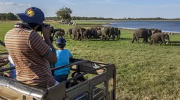 Safari at Minneriya