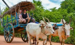 Bullock Cart Ride