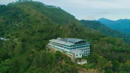 Tea Factory